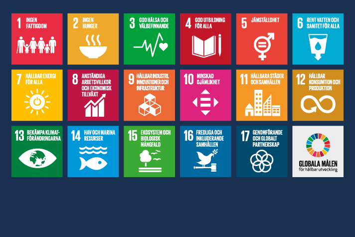 Agenda 2030 bild från FN för de globala målen